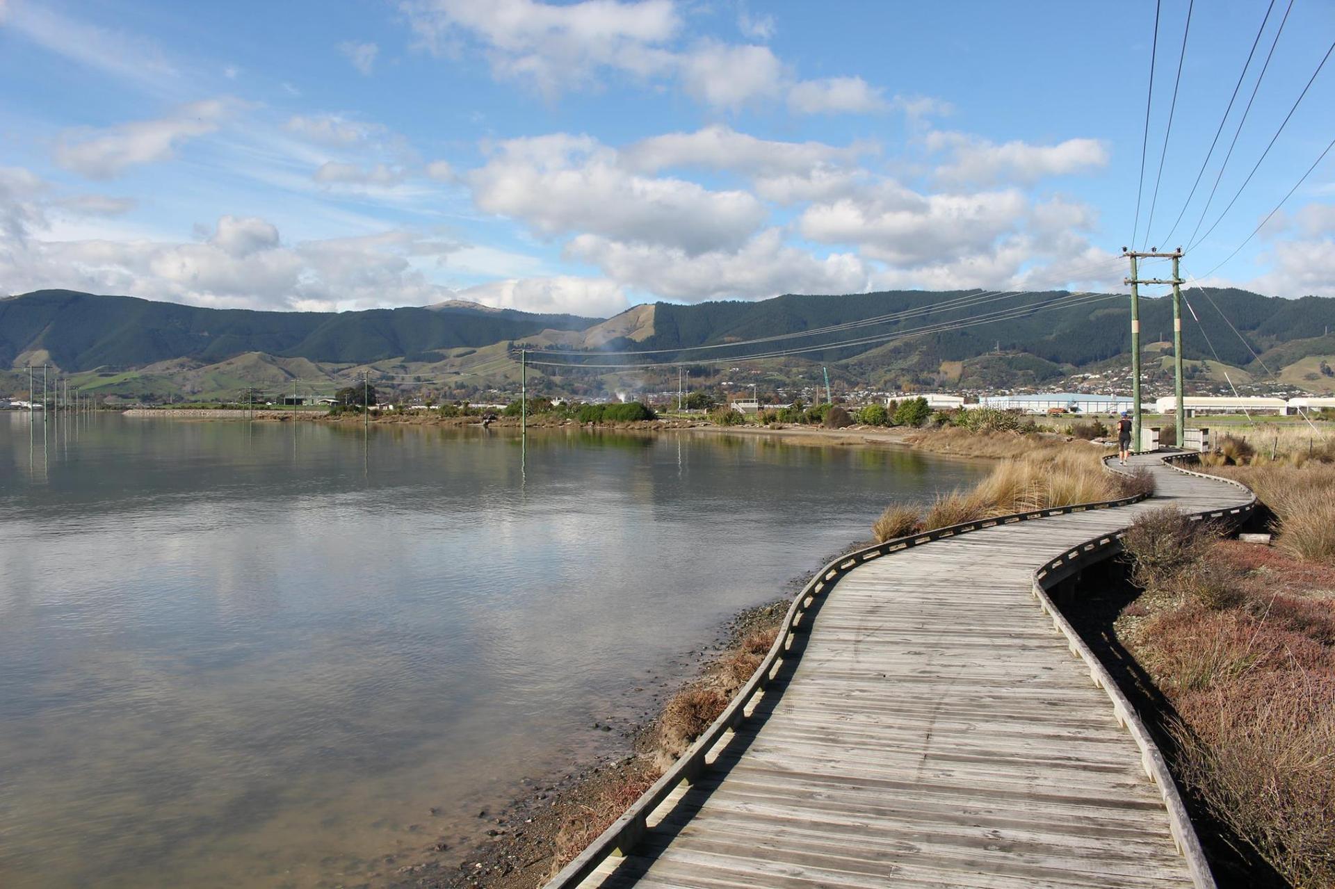The Nelson Half