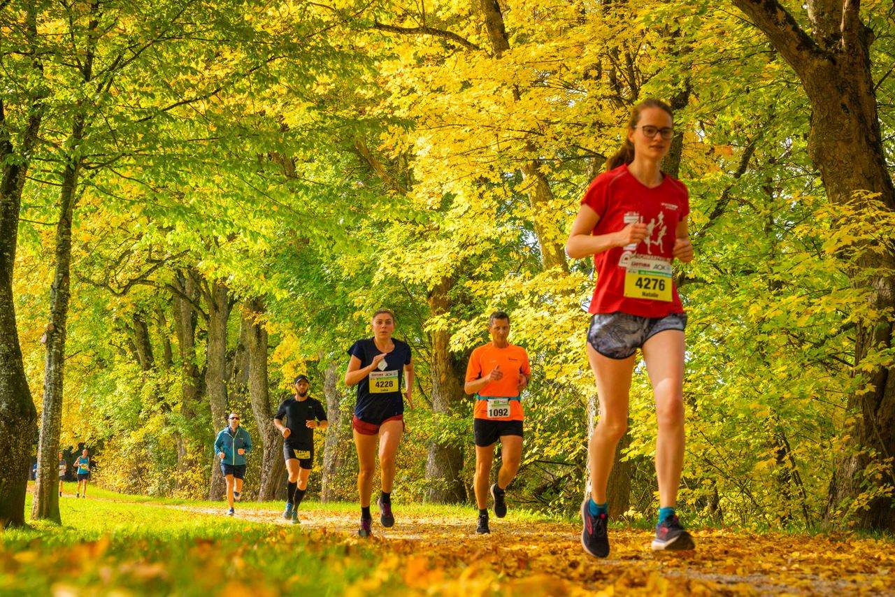 Running races in November 2026 - 2027: half marathons in Europe | Ahotu