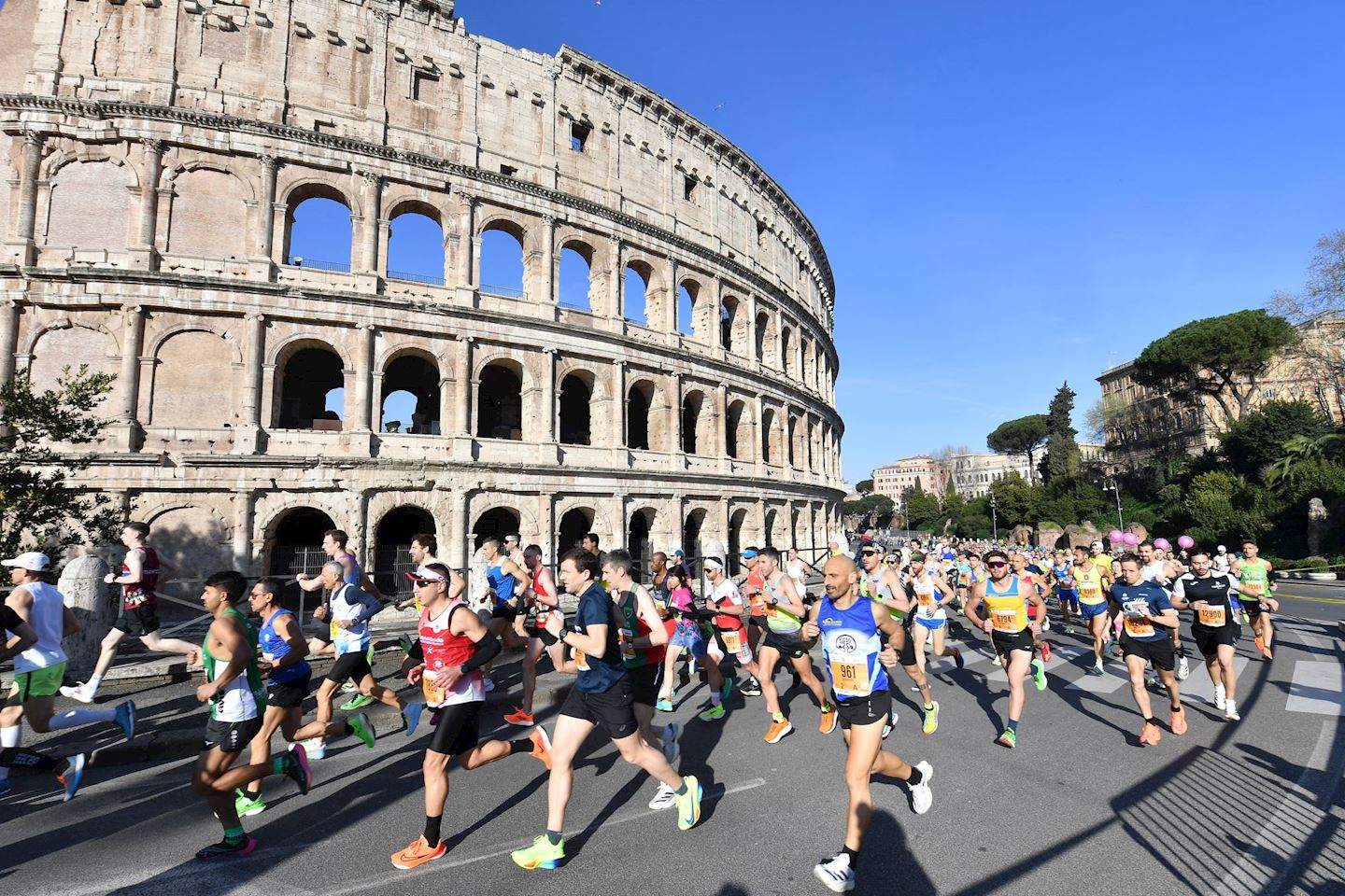 Running races in November 2026: marathons | Ahotu